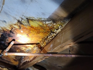 Lower Your Heating Bills This Winter With Crawl Space Encapsulation