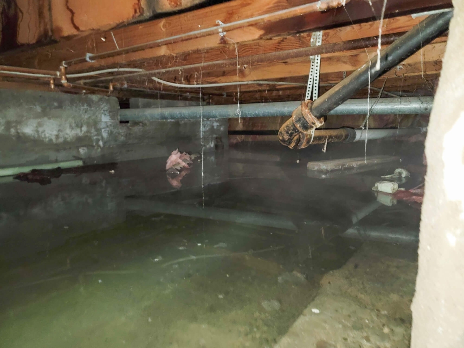 Protect Your Home’s Foundation: The Benefits of Exterior Basement Waterproofing